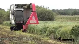 Softrak Cut & Collect Harvesting Around The Worlds Wetlands