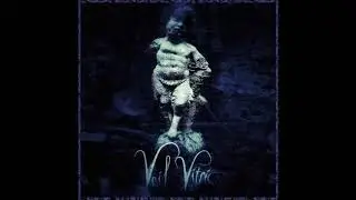 Veil Vitric - Nothing Key