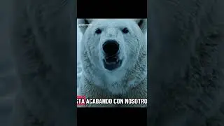 #humor #ㅇyㅇ #osospolares #ia #ias