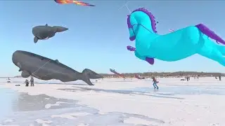 Boji Kites Back at the University of Okoboji Winter Games