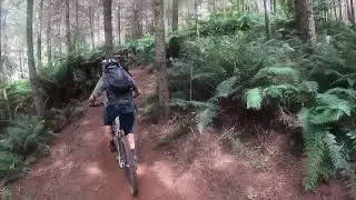 Wild Mersey MTB - Ewoks climb (absolutely spectacular)