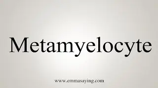 How To Say Metamyelocyte