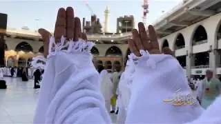 قصيدة سائلك ببابك الرادود علي حمادي - موسم حج 1439 /2018
