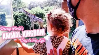 MAKING THE MOST OF A WALT DISNEY WORLD VACATION DURING A PANDEMIC | ANIMAL KINGDOM