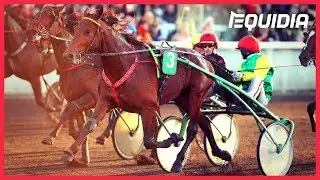 DAVIDSON DU PONT DEVANT BOLD EAGLE ! | Arrivée du Grand Prix de Bretagne 2018