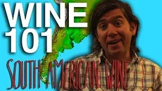 Wine 101: South American Wine