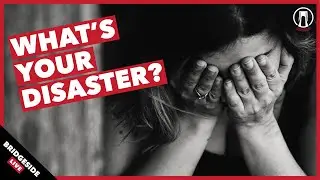 Creative Disaster Stories | LIVE Q&A | Bridgeside Live