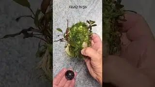 Floating rocks for aquariums