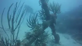 Wreck Hunting For The Roanoke | Blue Horizon Diving