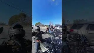Neck breaker #motorcyclelife #twowheels #harleydavidson #bobber #custombike #biker #harleydavidson
