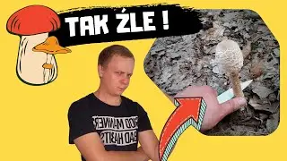 6 zasad zbierania GRZYBÓW! O tym mogłeś nie WIEDZIEĆ.