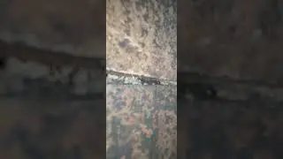 before  using heat shield inside of chimney liner in Pomona California
