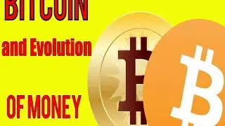Bitcoin storm reviews &prices