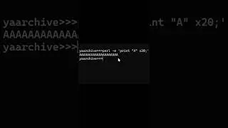 buffer overflows using PERL on the command  line #yaarchive #whatthehack