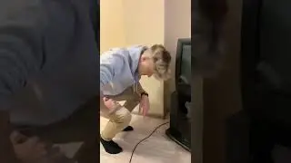 😰ЭТО БЫЛО В ТЕЛЕВИЗОРЕ❓