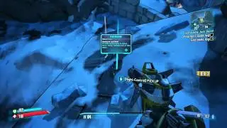 Borderlands 2: Helena Pierce 
