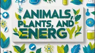 How Animals and Plants Get Energy: Respiration and Photosynthesis Explained