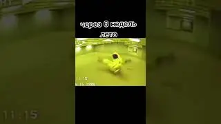 мем #shorts #viral #мемы #свинкапеппа #dance #live #gaming #xbox #pubgmobile #а4 #youtube