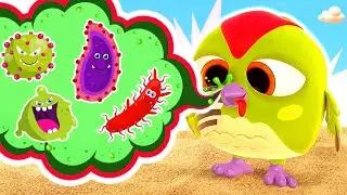Les oiseaux amusants et leurs le&ccedil;ons rigolotes sur l'hygi&egrave;ne ! Chansons pour les petits