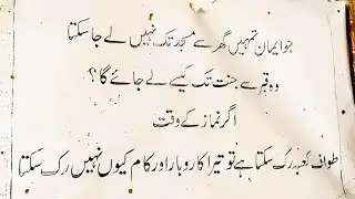 Best Islamic quotes with intrusting information #like#subcribe