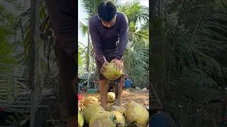 Thailand's traditional coconut cutting skill!!!