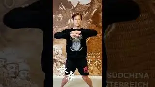 First Form of Wingchun , Siu Nim Tao Christof Hampel Sifu, Guoshu Dachverband f&uuml;r S&uuml;dchina Kungfu