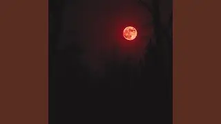 Blood Moon at Halloween
