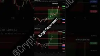 #pnut given also amazing 🤩 move captured #cryptocurrency #btc #music #viral #viralvideo #viralshort