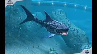 El rey de los oceanos prehistoricos al nivel maximo, el poderoso Megalodon.🦈