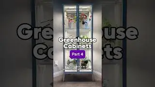 Шкаф-теплица IKEA для комнатных растений! Часть 4 #ikeagreenhousecabinet #diygreenhouse #houseplants