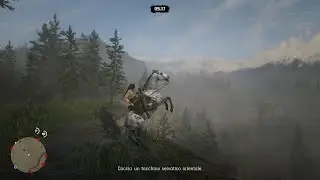 Dapple Grey Thoroughbred | Gorgeous View - Red Dead Online Horse