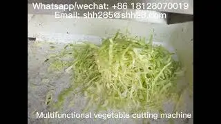 Vegetable cutting machine vegetable cutter scallions cutting equipment food equipment