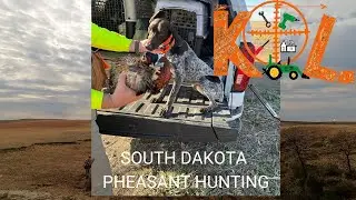 South Dakota Public Land Pheasant Hunting - KOL 241