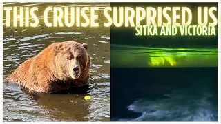 Круиз по Аляске с детьми | Медведи, пельмени и северное сияние! #royalcaribbean #sitka #victoriabc