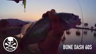 Fishing for LARGEMOUTH BASS with BONE DASH 60S and Various Jerkbaits!