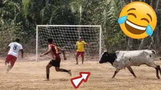 Hilarious Football Fails That Shocked the Entire World #25