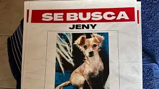 Jenny se perdio.. Tenemos que encontrarla.. que dificil situaciòn.