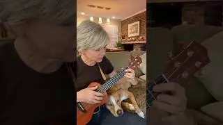 Are You Lonesome Tonight? - The Daily Ukulele song book