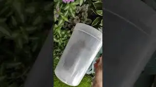 I caught a baby bunny, he thought my rain downspout was a good hiding spot.