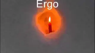 Ergo-nii igal ööl