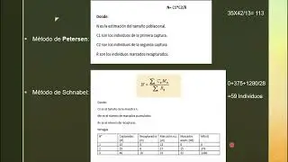 M&eacute;todos de captura recaptura para estimar el tama&ntilde;o de las poblaciones animales