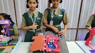 Grade X Students Present: Structure of the Human Heart | Science Fair 2025 - 2026