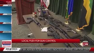 Local leaders push for gun control