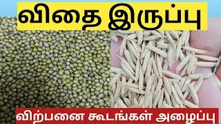 Seed Provide Subsidy in Tamil Agri News in Tamil Agricultural subsidy