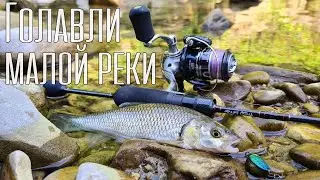 ОЖИДАНИЕ ТОГО СТОИЛО! Голавли малой реки