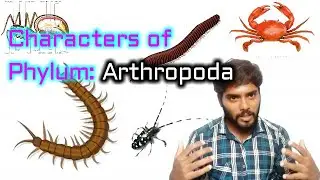 Characters of phylum Arthropoda | Fundamentals of entomology class- 2| Entomology class | English