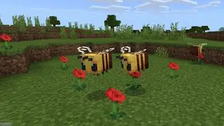 Minecraft Bee POV (asmr) (original)