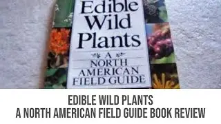 Edible Wild Plants A North American Field Guide Book Review