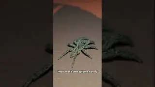 👍هل العناكب تستطيع الطيران؟ Can spiders🕷️ fly ? Yes life Under the Microscope  | الحياة تحت المجهر