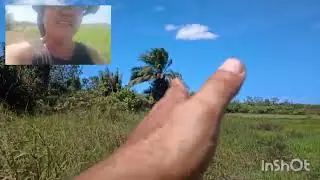 DE VOLTA AO ANTIGO CANAL ,ESTRADA COZINHA E RO&Ccedil;A...